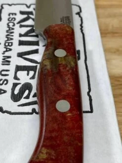 Bark River Mini-Aurora CPM 3V Knife Red & Natural #3 Elder Burl (USA) -Helle Shop bark river knives bark river mini aurora cpm 3v knife red natural 3 elder burl usa 41989685641428