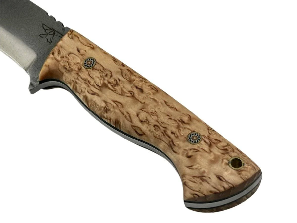 CUR Custom Kestrel Fixed Blade With Salted Maple Handle Mosaic Pins (USA) 2 CUR Custom Kestrel Fixed Blade With Salted Maple Handle Mosaic Pins (USA) - Image 2