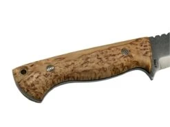 CUR Custom Kestrel Fixed Blade With Salted Maple Handle Mosaic Pins (USA) 10 CUR Custom Kestrel Fixed Blade With Salted Maple Handle Mosaic Pins (USA) -Helle Shop cur custom blades cur custom kestrel fixed blade with salted maple handle mosaic pins usa 41989845680340