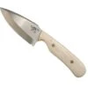 CUR Custom Shrike EDC Fixed Blade Knife 3.25" Oiled Camel Bone Dark Liners Mosaic Pins