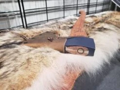 Hults Bruk Agdor 26" Yankee Felling Axe (Sweden) -Helle Shop hults bruk hults bruk agdor 26 yankee felling axe sweden 41987392078036