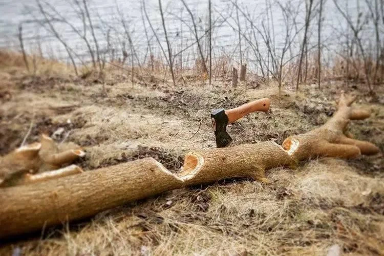 Hults Bruk Jonaker Hatchet (Sweden) 2 Hults Bruk Jonaker Hatchet (Sweden) - Image 2