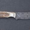 Silver Stag Stag Twist Handle Damascus Fixed Blade Knife
