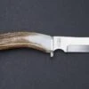 Silver Stag Mountain Edge Crown Handle D2 Fixed Blade Knife