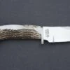 Silver Stag Field Pro Crown D-2 Fixed Blade Knife