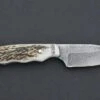 Silver Stag The Guide Damascus Fixed Blade Knife