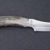 Silver Stag Cascade Hunter Crown Handle D2 Fixed Blade Knife