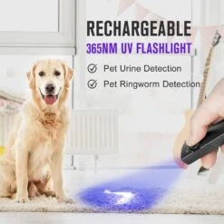 OLIGHT Arkfeld UV 365nm Black Light With 1000 Lumens White LED Flashlight Rechargeable Flat Flashlight For Outdoors, Emergency, Pet Urine Detection -Helle Shop olight olight arkfeld uv 365nm black light with 1000 lumens white led flashlight rechargeable flat flashlight for outdoors emergency pet urine detection 39493139136724