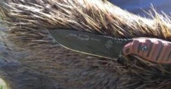 TOPS Knives TOPS Viper Scout Fixed Knife USA (Red Handles) -Helle Shop tops knives tops viper scout fixed knife usa red handles 41903397339348