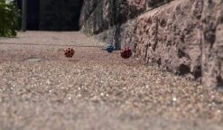 Waboba Moon Ball (Assorted Colors) -Helle Shop waboba waboba moon ball assorted colors 39393821098196