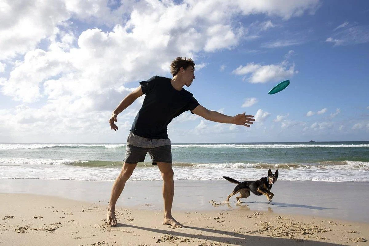 Waboba Woofpack Pet Dog Toys Set Rubber Flying Disk & Dog Balls Throw & Fetch (3 Toys) 4 Waboba Woofpack Pet Dog Toys Set Rubber Flying Disk & Dog Balls Throw & Fetch (3 Toys) - Image 4